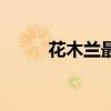 花木兰最强套装（花木兰六神装）