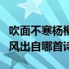 吹面不寒杨柳风出自哪首古诗（吹面不寒杨柳风出自哪首诗）