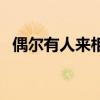 偶尔有人来相伴的句子（偶尔有人来相伴）