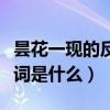 昙花一现的反义词是什么呢（昙花一现的反义词是什么）