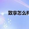 致享怎么样有啥优缺点（致享怎么样）