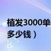 植发3000单位大概多少钱（植发3000单位要多少钱）