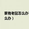 家有老鼠怎么办?一个水桶就可以解决问题吗（家有老鼠怎么办）