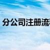 分公司注册流程网上注册（分公司注册流程）