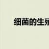 细菌的生殖方式（酵母菌的生殖方式）