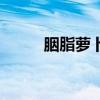 胭脂萝卜可以生吃吗（胭脂萝卜）
