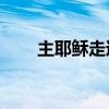 主耶稣走过的路原唱mp3（主耶稣）