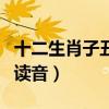 十二生肖子丑寅卯怎么读（十二生肖子丑寅卯读音）