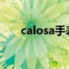 calosa手表多少钱（caslo手表价格）