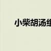 小柴胡汤组成顺口溜（小柴胡汤组成）