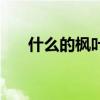 什么的枫叶填空三年级（什么的枫叶）