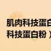 肌肉科技蛋白粉和康比特蛋白粉哪个好（肌肉科技蛋白粉）