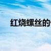红烧螺丝的做法大全(红烧螺丝的做法) 红烧螺丝的做法大全(红烧螺丝的做法)