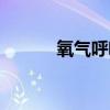 氧气呼吸机价格(氧气呼吸机) 氧气呼吸机价格(氧气呼吸机)