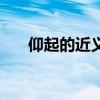 仰起的近义词是什么（仰起的近义词）