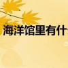 海洋馆里有什么海洋动物（海洋馆里有什么）