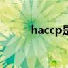 haccp是啥（haccp是什么认证）
