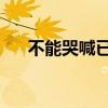 不能哭喊已破碎 曾经的最美（不能哭）