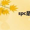 spc是什么语c(spc是什么) spc是什么语c(spc是什么)