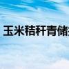 玉米秸秆青储技术要点（玉米秸秆青储技术）