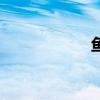 鱼骨汤底（鱼骨汤）