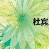杜宾血统证书（血统证书）