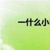 一什么小山丘填量词（一什么小山）