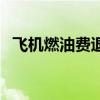 飞机燃油费退不退(飞机燃油费取消了吗) 飞机燃油费退不退(飞机燃油费取消了吗)