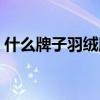 什么牌子羽绒服最抗寒（轻薄羽绒服保暖吗）