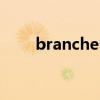 branches是什么意思（branches）
