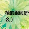 植的组词是什么 二年级上册（植的组词是什么）