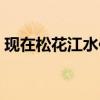 现在松花江水位是涨是撒（松花江水位下降）