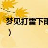 梦见打雷下雨往家跑什么意思（梦见打雷下雨）