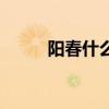 阳春什么时候有高铁（阳春什么）