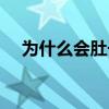 为什么会肚子痛拉稀（为什么会肚子痛）