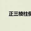 正三棱柱侧面积计算公式(正三棱柱) 正三棱柱侧面积计算公式(正三棱柱)
