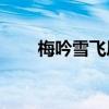 梅吟雪飞凤su模型怎么得（梅吟雪）
