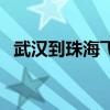 武汉到珠海飞机票价格(武汉到珠海飞机) 武汉到珠海飞机票价格(武汉到珠海飞机)