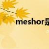 meshor是什么手表价格（meshor）