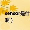 sensor是什么意思啊英语（sensor什么意思啊）