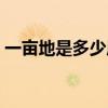 一亩地是多少厘米（一亩地有多大给个概念）