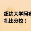 纽约大学阿布扎比分校研究生（纽约大学阿布扎比分校）