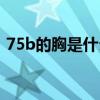 75b的胸是什么概念（75b是不是属于小胸）