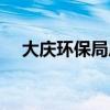 大庆环保局局长是谁（环保局局长是谁）