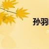 孙羽幽结婚了吗（孙羽幽）