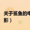 关于鲨鱼的电影排行榜前十名（关于鲨鱼的电影）