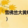 雪佛兰大黄蜂2023款报价(大黄蜂跑车价格) 雪佛兰大黄蜂2023款报价(大黄蜂跑车价格)