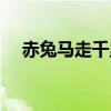 赤兔马走千里打一元代戏曲家（戏曲家）