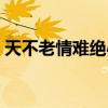 天不老情难绝心似双丝网什么意思（天不老）