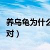 养乌龟为什么不能养一只（乌龟为什么要养一对）